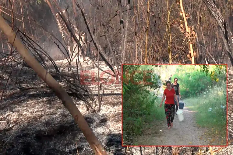 Vecinos y bomberos lograron sofocar un incendio de pastizales en Paraná