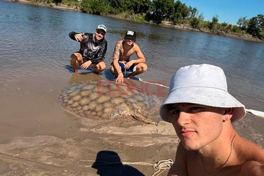 Raya pescada en el arroyo Feliciano.