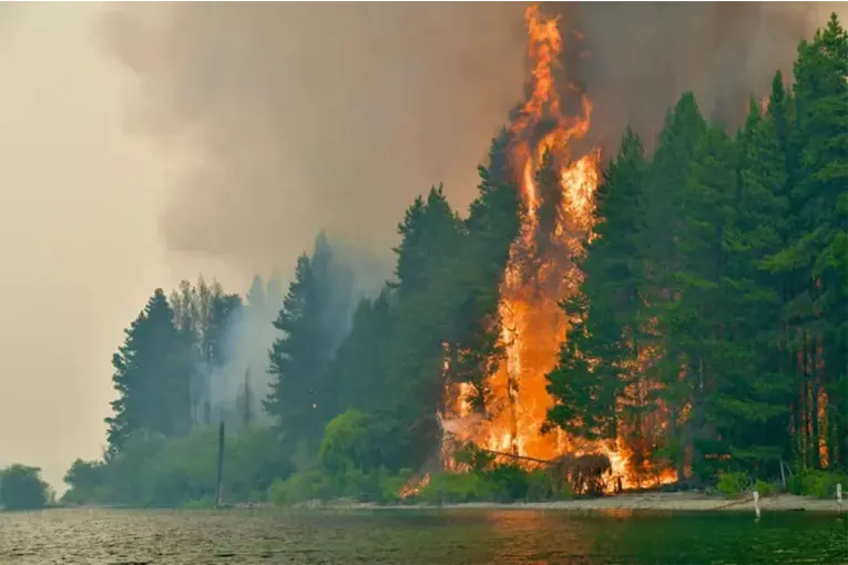 Chubut: 500 bomberos combaten el fuego en el Parque Los Alerces y Puerto Patriada