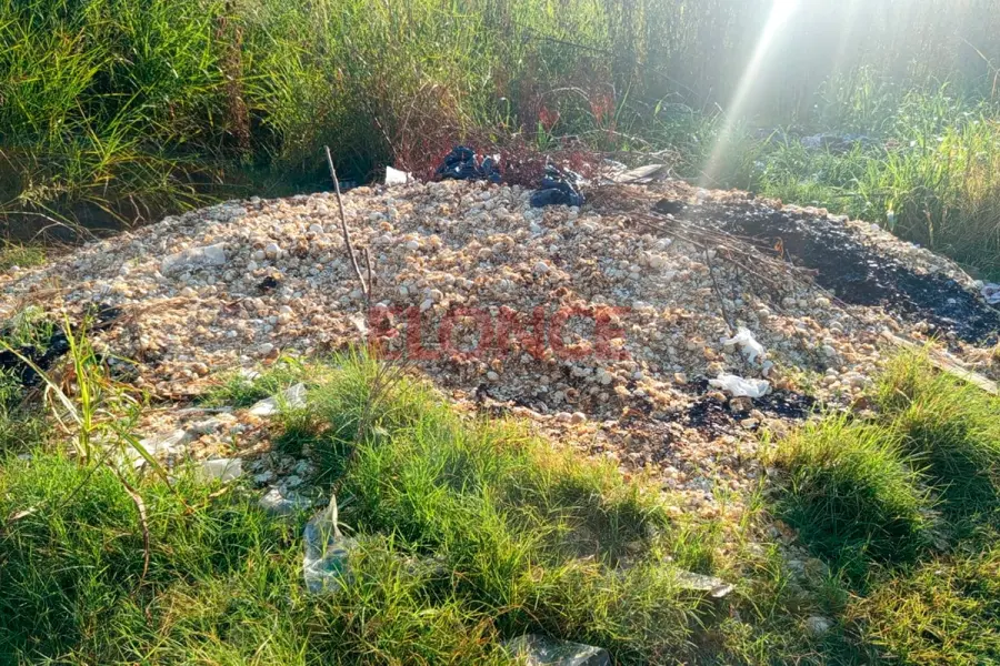 Retiraron c&aacute;scaras y restos av&iacute;colas tras reclamo vecinal (foto Elonce)