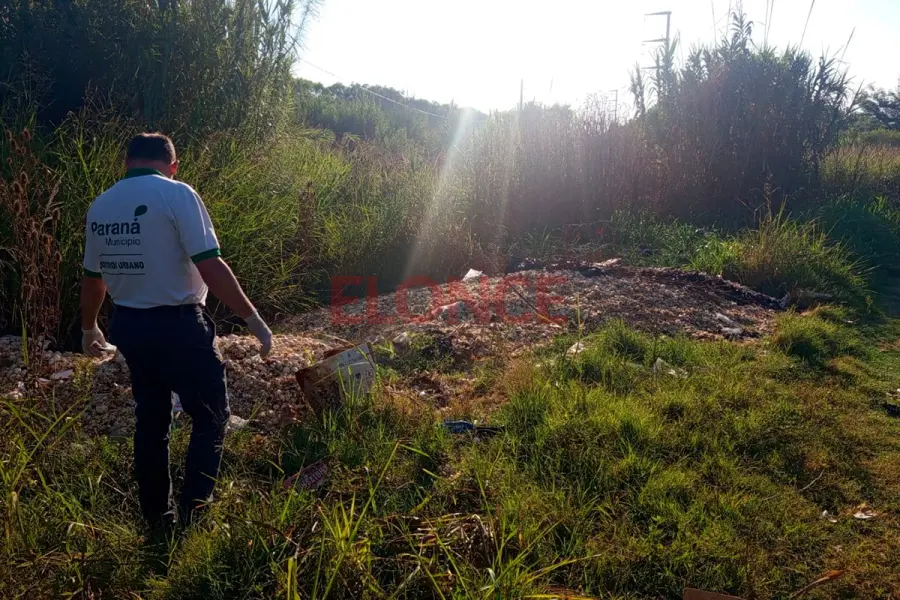 Retiraron c&aacute;scaras y restos av&iacute;colas tras reclamo vecinal (foto Elonce)