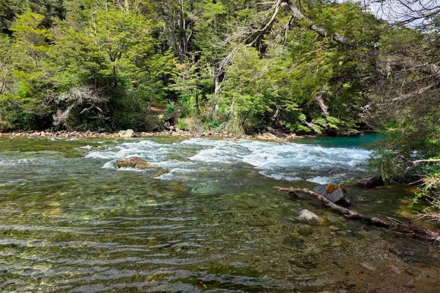 Rio Manso (Parque Nacional Nahuel Huapi)