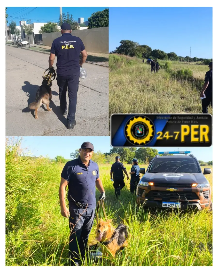 Jefatura Departamental Diamante