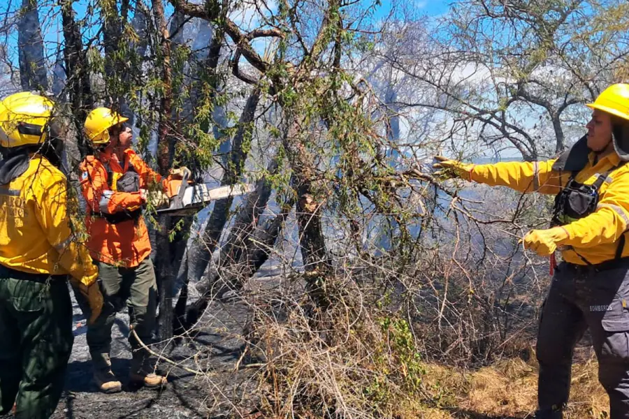 Incendio forestal en Mojones Norte. Foto: Bomberos de Villaguay.