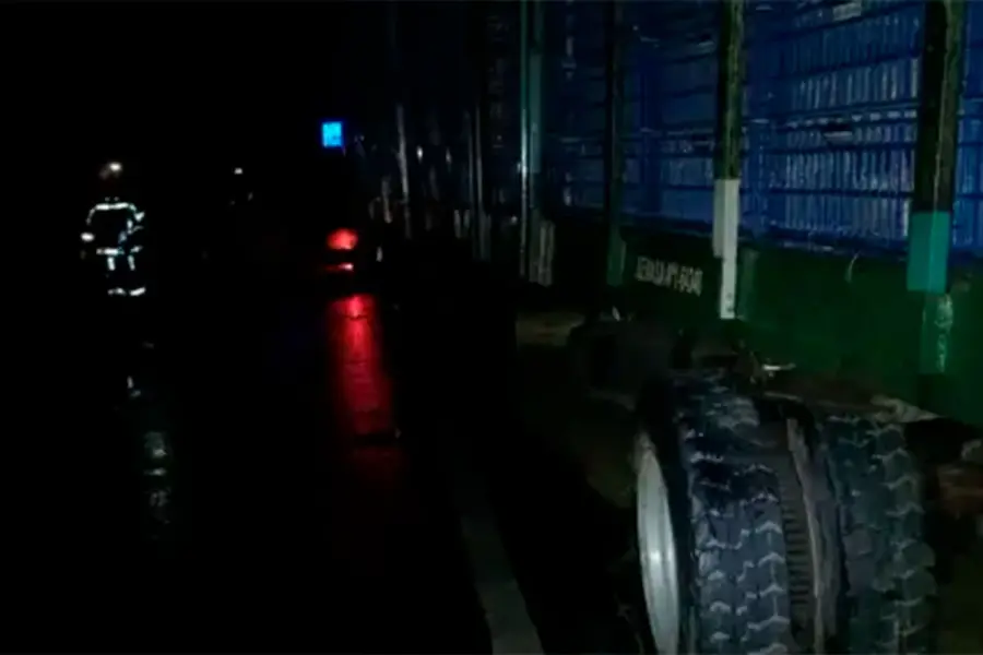 Cami&oacute;n accidentado en Ruta 130.