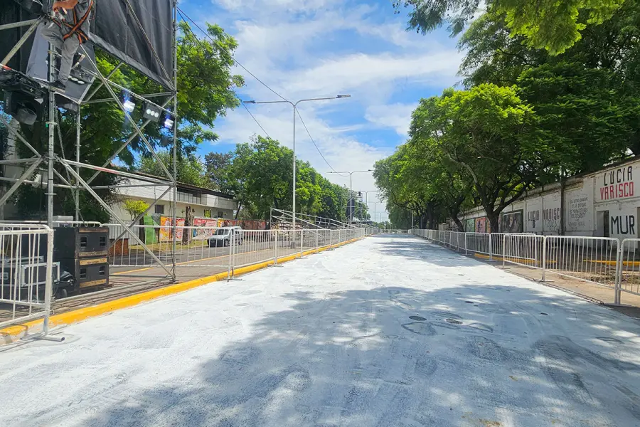 Carnaval en Paran&aacute;. Foto: Elonce.