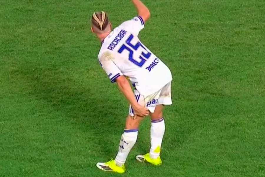 Ascacibar sinti&oacute; una molestia.