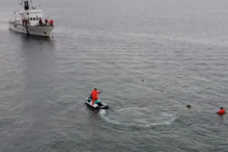 Puerto Madryn: intensa búsqueda de una joven que practicaba buceo y no salió a la superficie