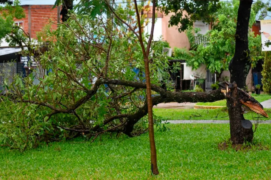 (Chajar&iacute; al D&iacute;a).