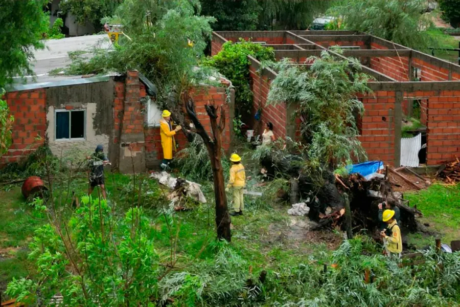 (Chajar&iacute; al D&iacute;a).