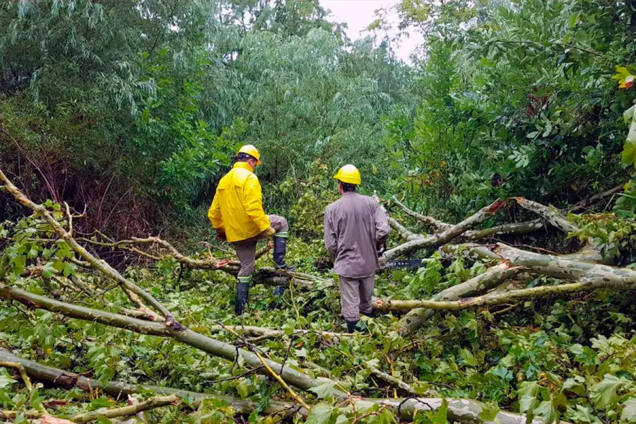 (Chajar&iacute; al D&iacute;a).