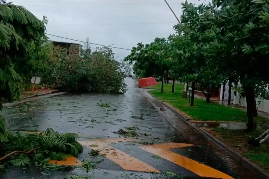 (Chajar&iacute; al D&iacute;a).