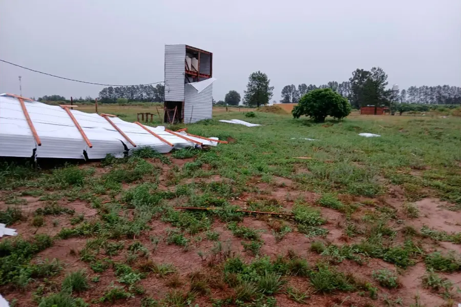 (Tal Cual Chajar&iacute;).