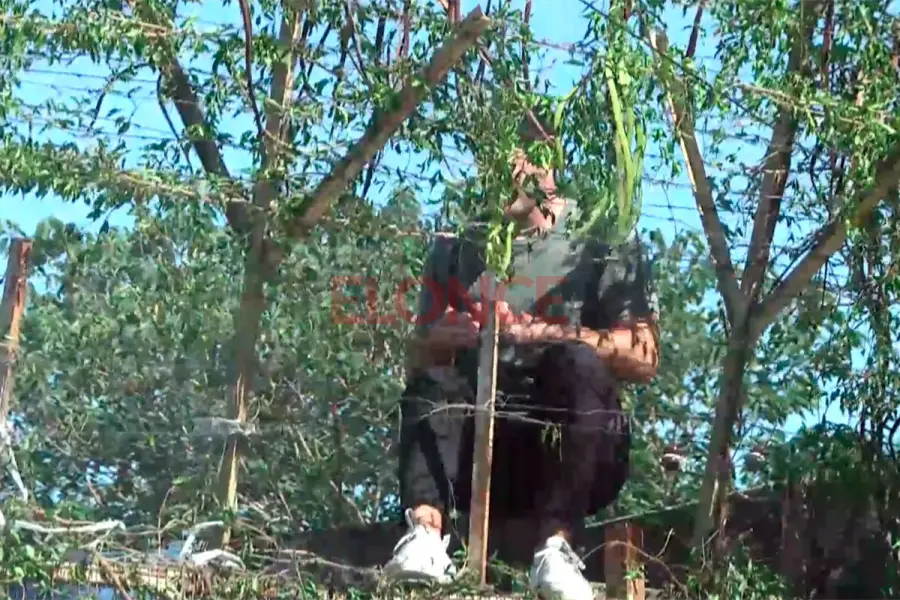 Maximiliano Fern&aacute;ndez