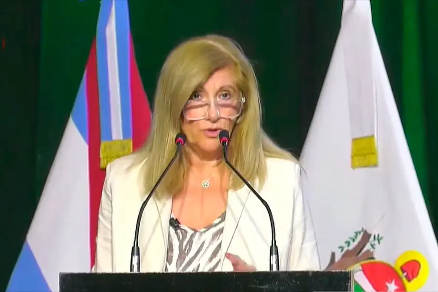 Romero inauguró el período legislativo: “Sostenemos la idea de un Estado facilitador e inteligente” - Image 2