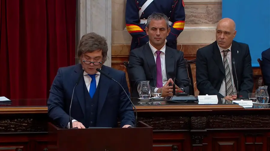 Javier Milei dio su discurso. Foto: Captura de video.