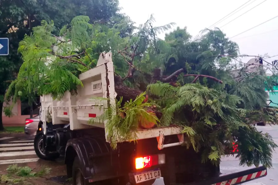 (foto Municipalidad de Paran&aacute;)