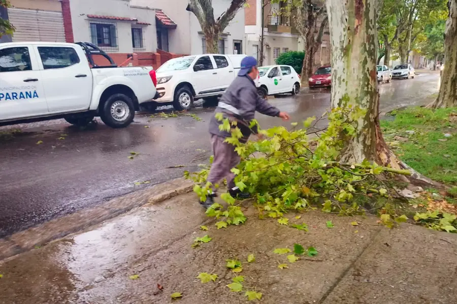 (foto Municipalidad de Paran&aacute;)