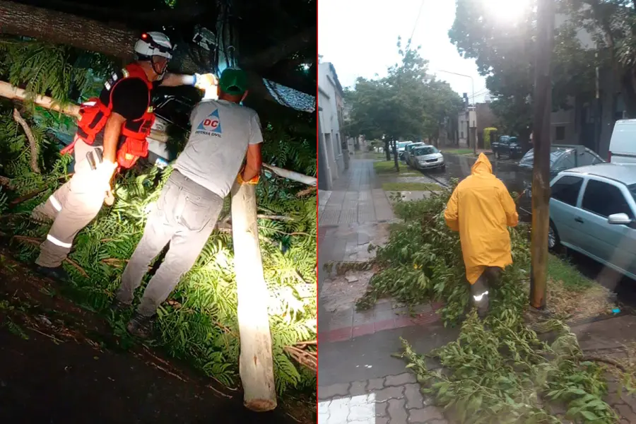 (foto Municipalidad de Paran&aacute;)