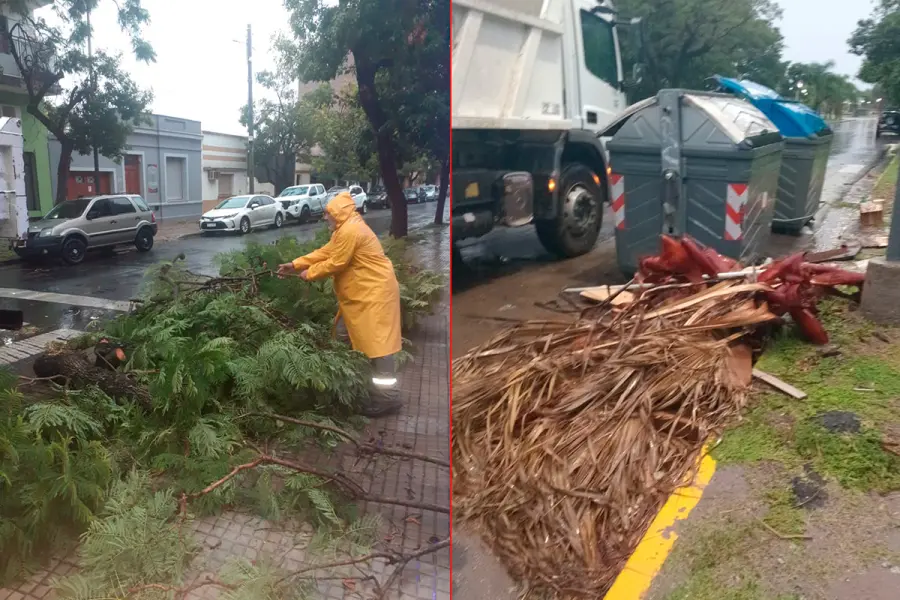 (foto Municipalidad de Paran&aacute;)