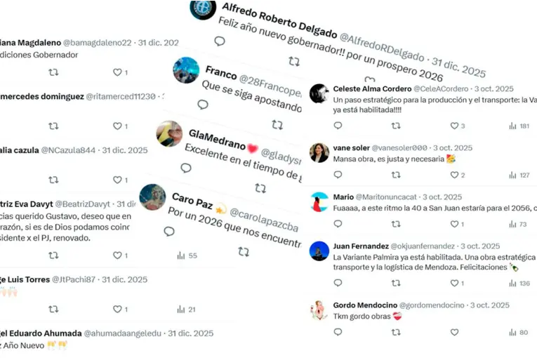 Investigación reveló uso de seguidores falsos en redes de gobernadores: ¿qué pasó con Entre Ríos?