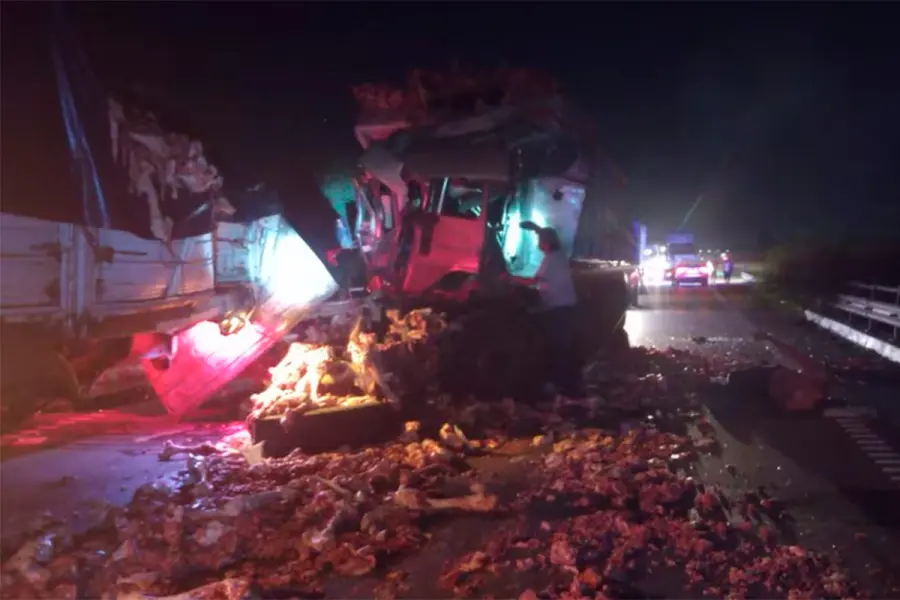 Choque m&uacute;ltiple de camiones sobre Ruta 9 (foto Flash25)