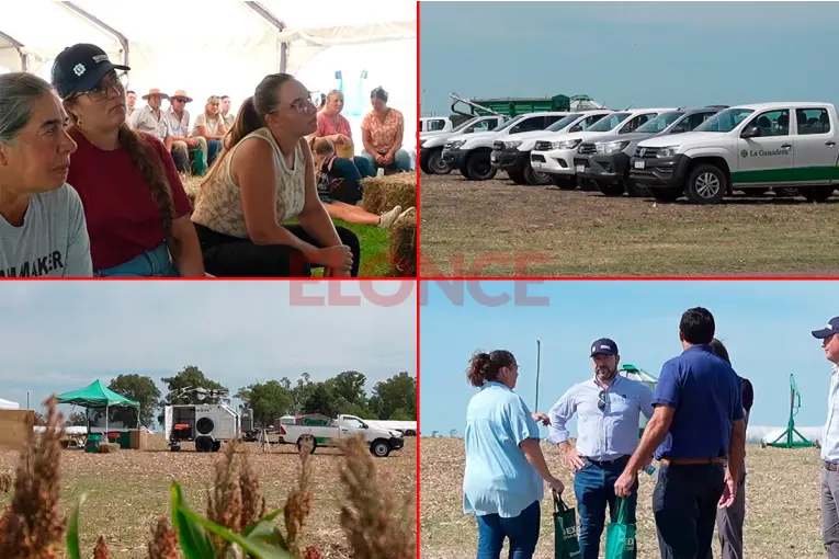 La Cooperativa La Ganadera destacó el crecimiento del sector ganadero: "El productor entrerriano invierte en el campo"