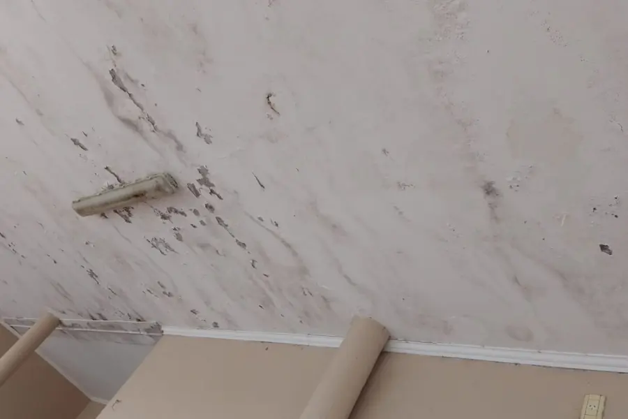 Escuela Sarmiento Rosario del Tala.