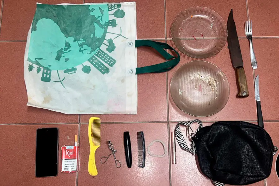 Fiesta clandestina termin&oacute; con disturbios y un detenido en Paran&aacute; (foto Polic&iacute;a de Entre R&iacute;os)