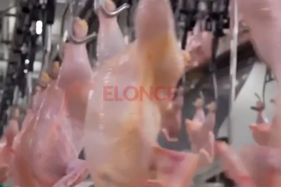 Foto: Archivo Elonce.