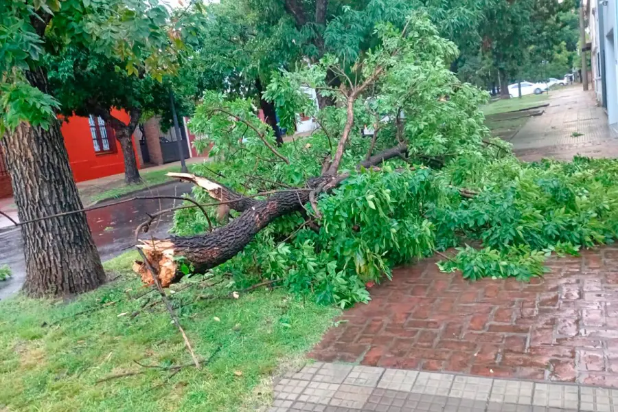 Foto: Municipalidad de Paran&aacute;.