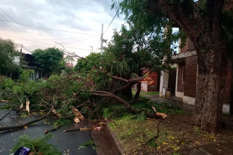 Foto: Municipalidad de Paran&aacute;.
