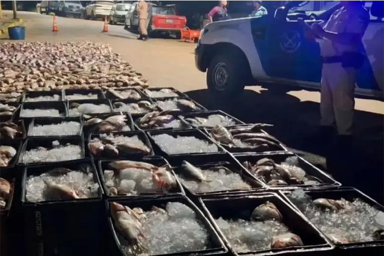 Millonarios decomisos en Villa Paranacito por pesca ilegal: más de 9500 kilos de sábalo