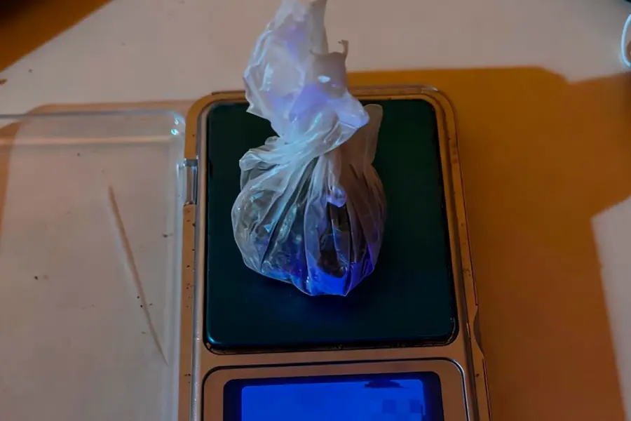 Allanamientos por narcomenudeo en Villa Elisa (foto Polic&iacute;a de Entre R&iacute;os)