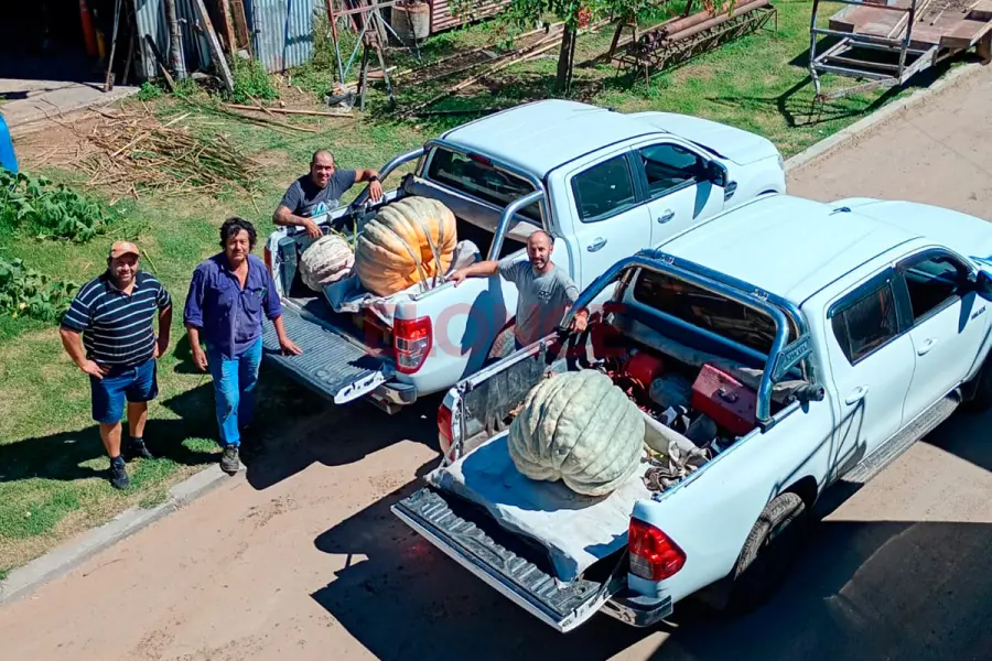 Los dos zapallos gigantes del productor entrerriano Julio Flores. Foto: Elonce.