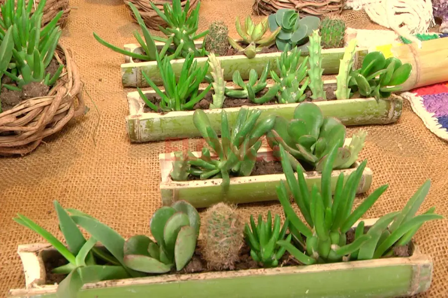 Feria Oto&ntilde;al (foto Elonce)