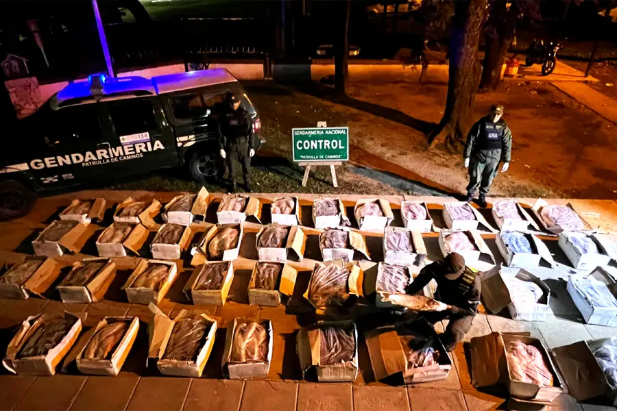 Trasladaban 41 cajas con pescados sin refrigeraci&oacute;n valuados en casi $4 millones (foto Gendarmer&iacute;a Nacional)