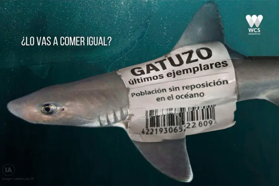 Imagen difundida por WCS Argentina