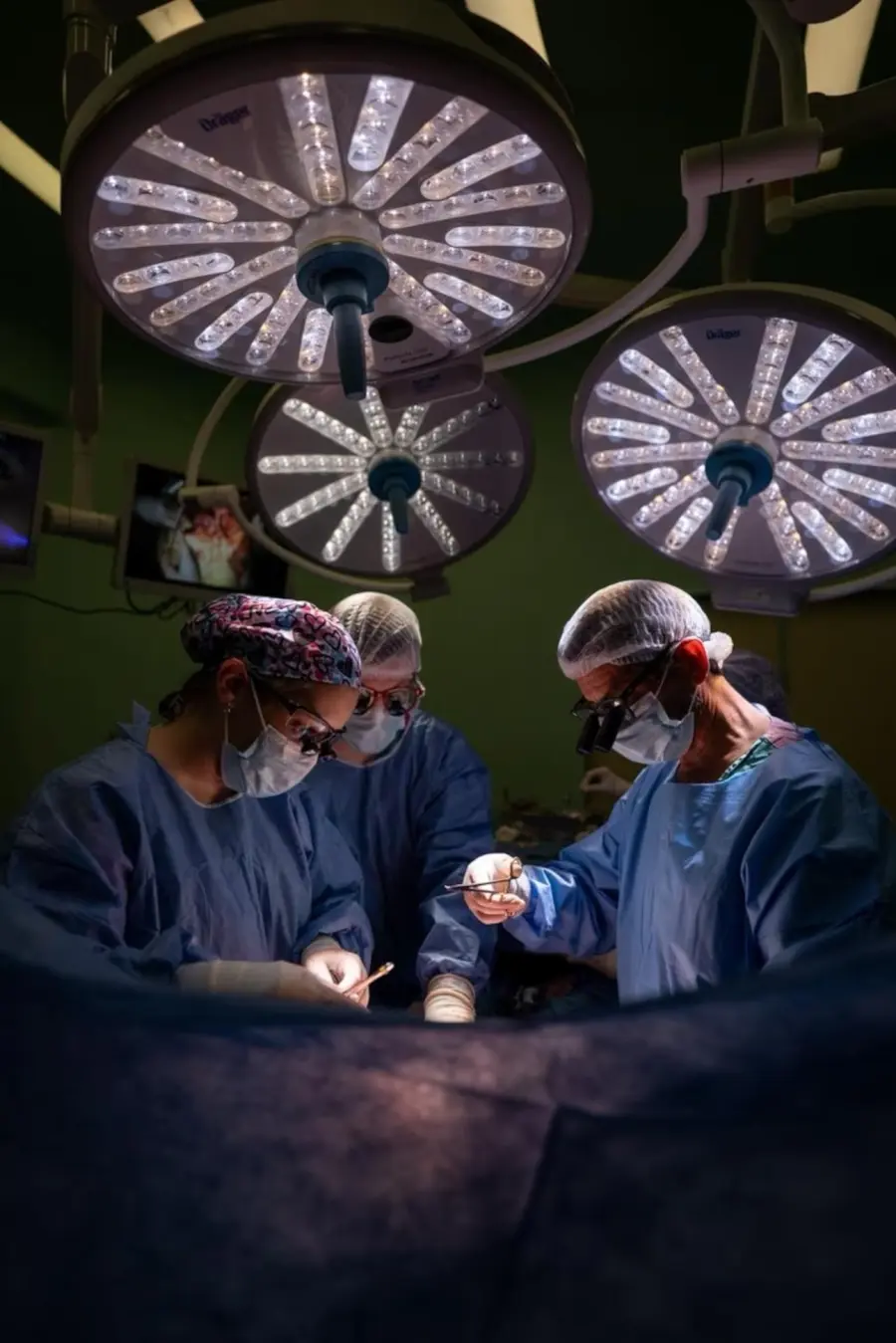 Foto: Hospital Garrahan