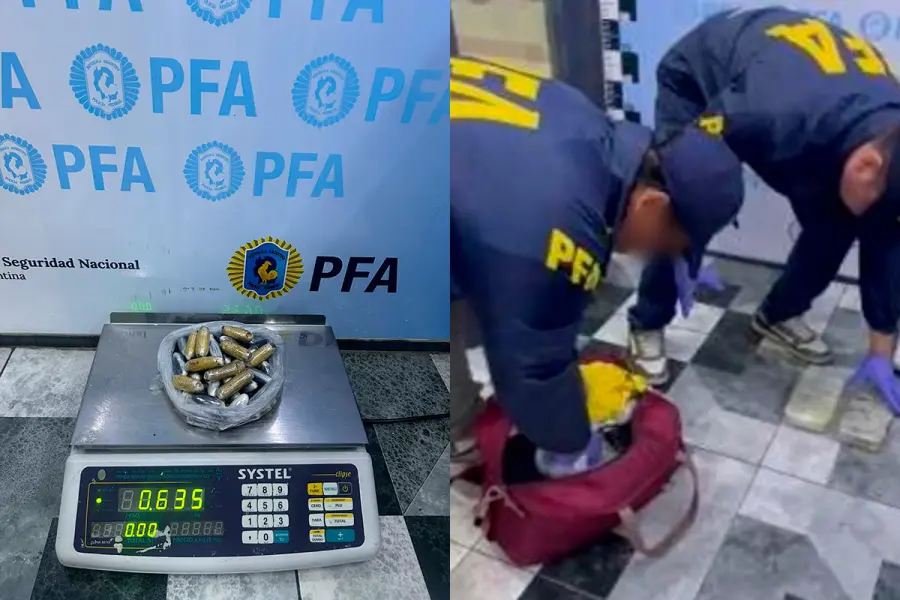Secuestro de drogas en la Terminal de Liniers (foto PFA)