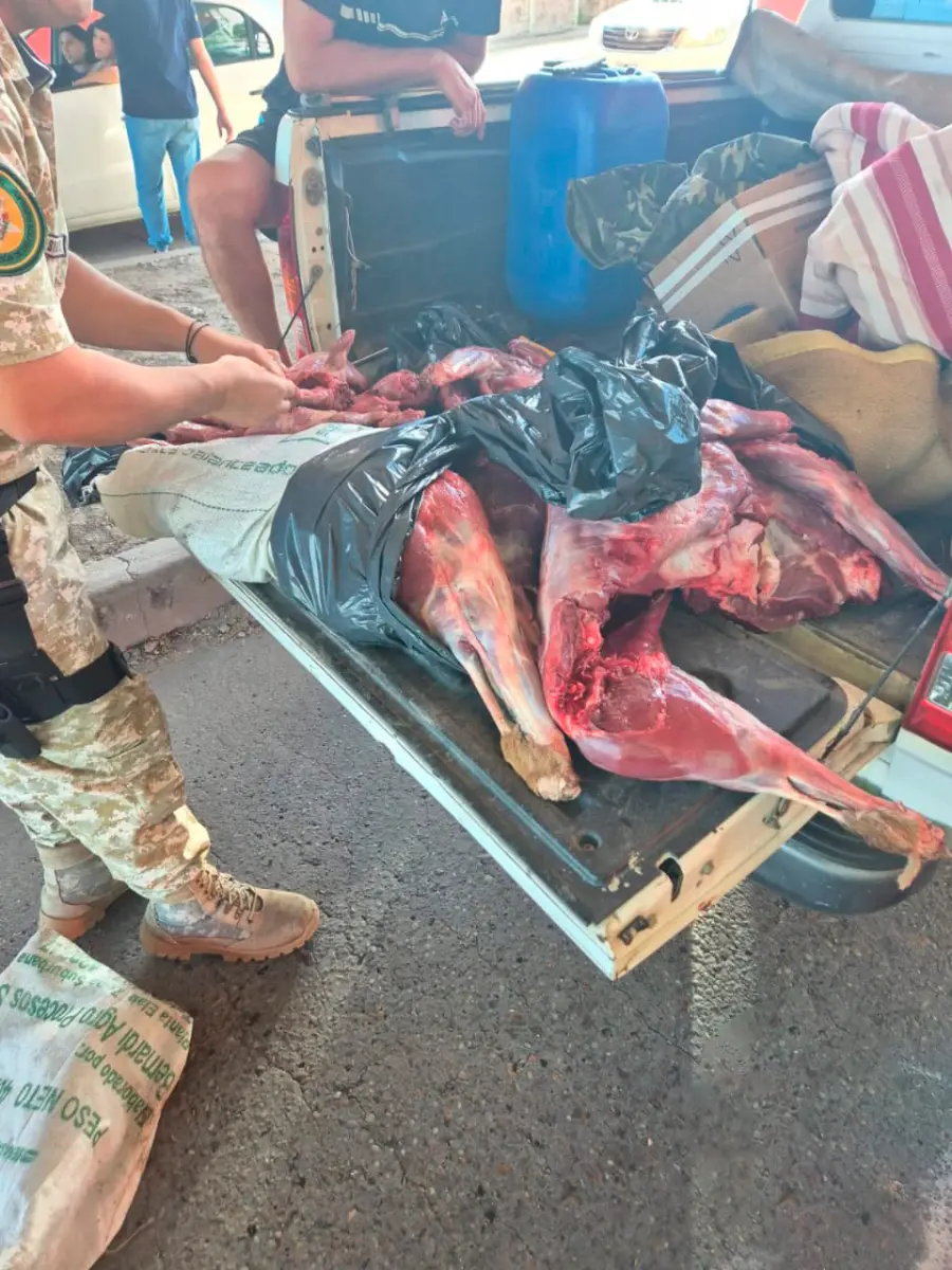 Detectaron caza ilegal tras control vial en acceso al T&uacute;nel Subfluvial (foto Polic&iacute;a de Entre R&iacute;os)