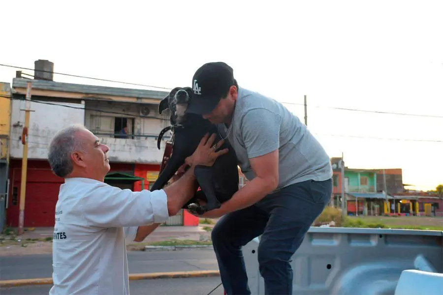 El rescate de Alita tras la denuncia por zoofilia
