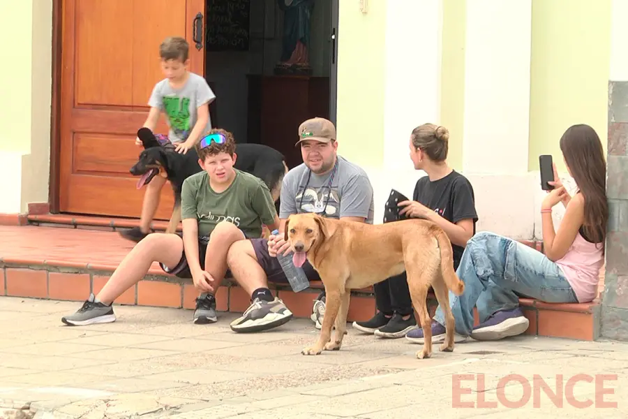 Recorrido por siete iglesias en Paran&aacute; (foto Elonce)