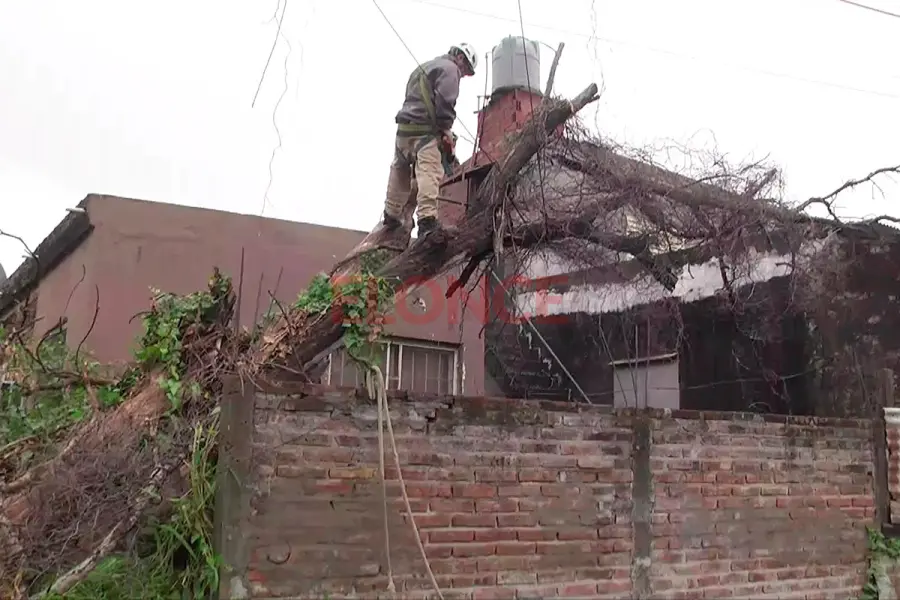 Un a&ntilde;ejo &aacute;rbol cay&oacute; sobre una vivienda en Paran&aacute; (foto Elonce)