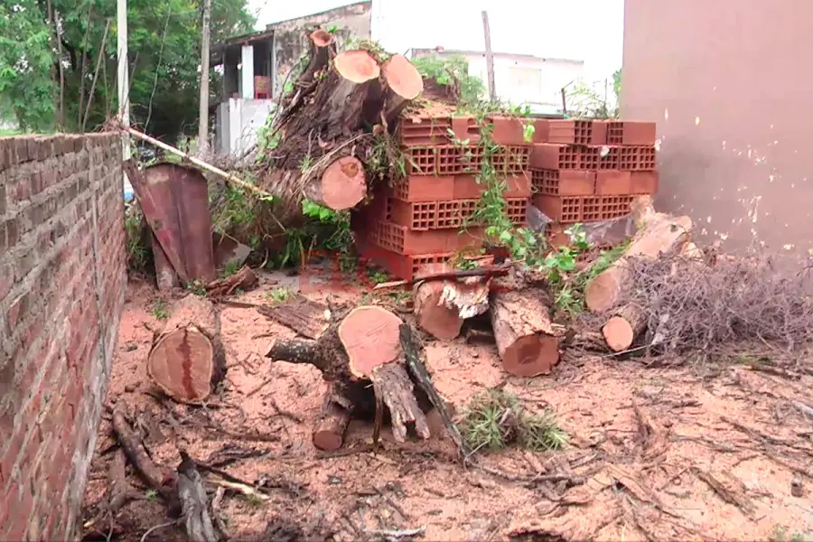 Un a&ntilde;ejo &aacute;rbol cay&oacute; sobre una vivienda en Paran&aacute; (foto Elonce)