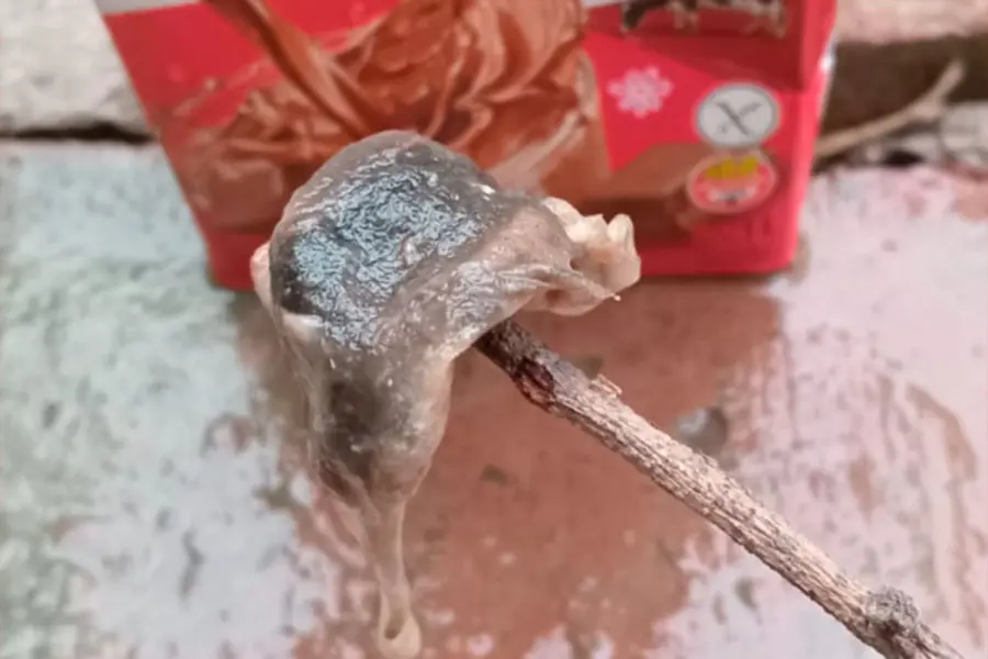 Lo hallado en la chocolatada.