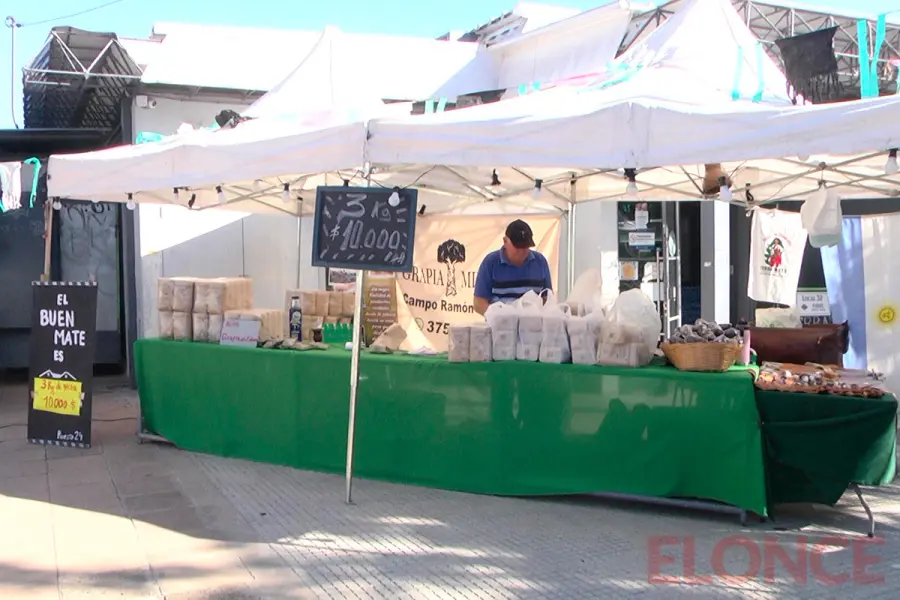 &ldquo;Yerbatazo&rdquo; en la Feria de Salta y Nogoy&aacute; (foto Elonce)