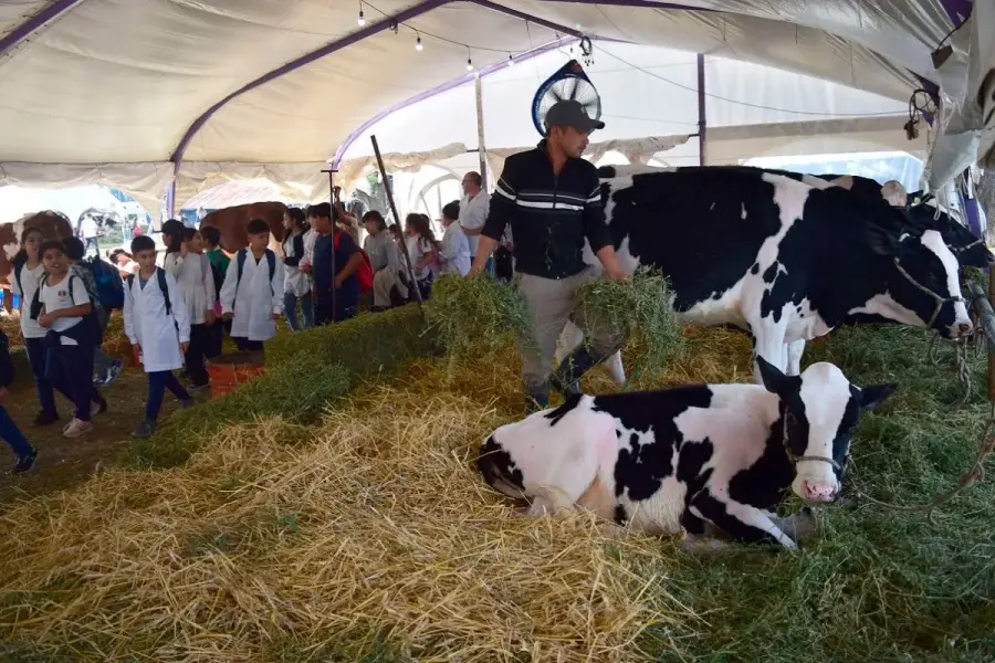 Expo Leche Nogoy&aacute;.