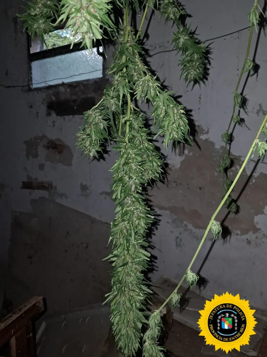 Jefatura Departamental La Paz