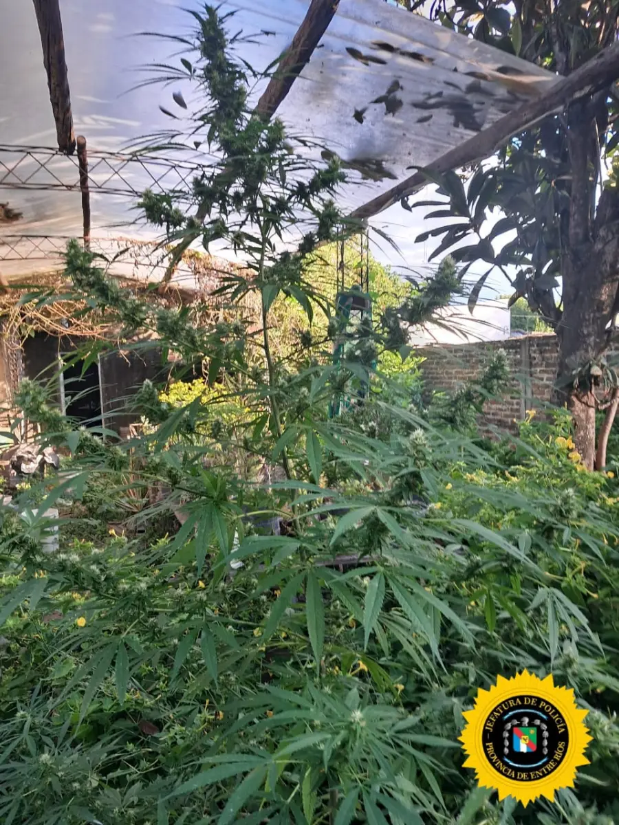 Jefatura Departamental La Paz